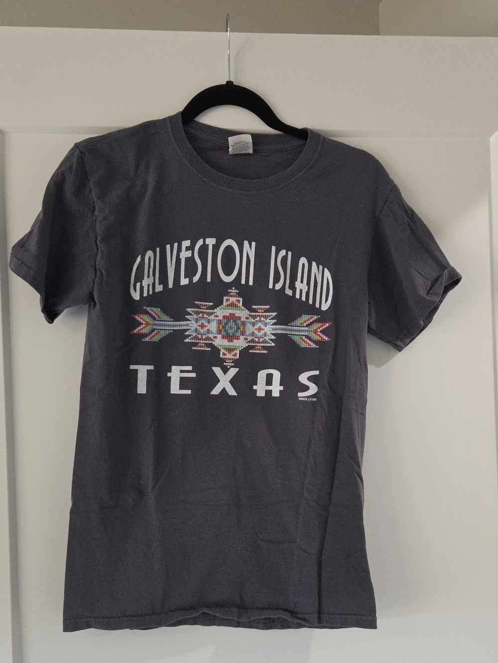 Fruit of the Loom Women's Charcoal Galveston Island Texas Graphic Tee